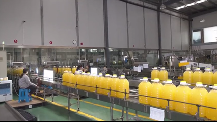 油讯包装制品的行业现状与发展前景